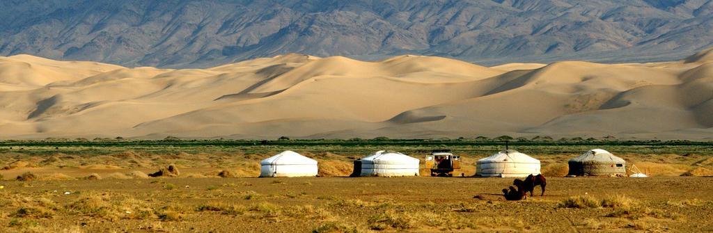 Majestic Gobi Tour Operator And Guest House ウランバートル エクステリア 写真